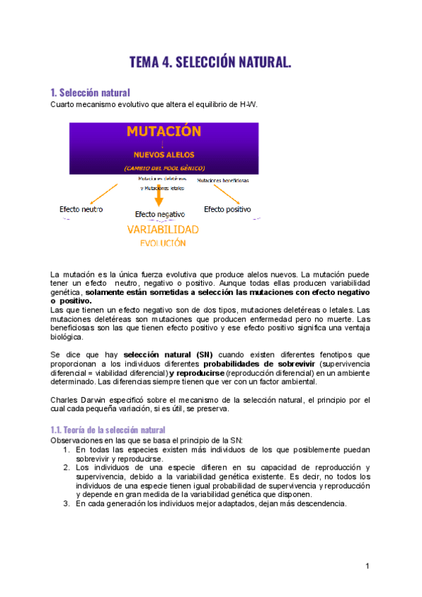 Tema-4.-Seleccion-natural.pdf