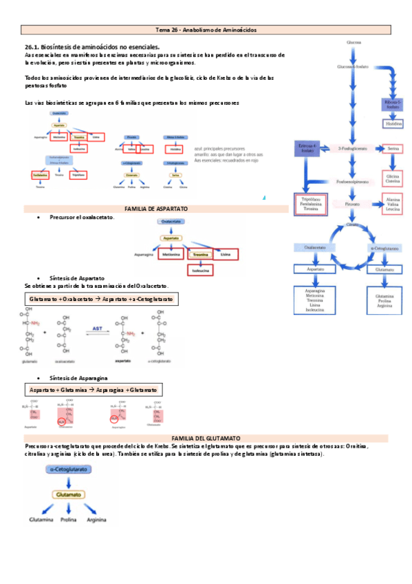Tema-26-30-Bioquimica.pdf