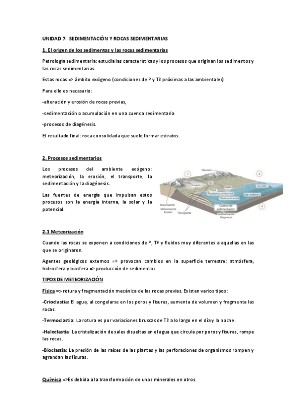 T7-Sedimentacion-y-rocas-sedimentarias.pdf