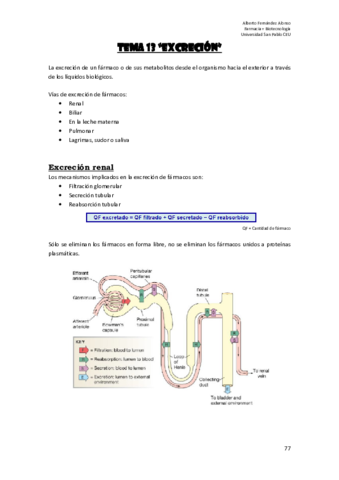 Tema 13 (Excrección).pdf