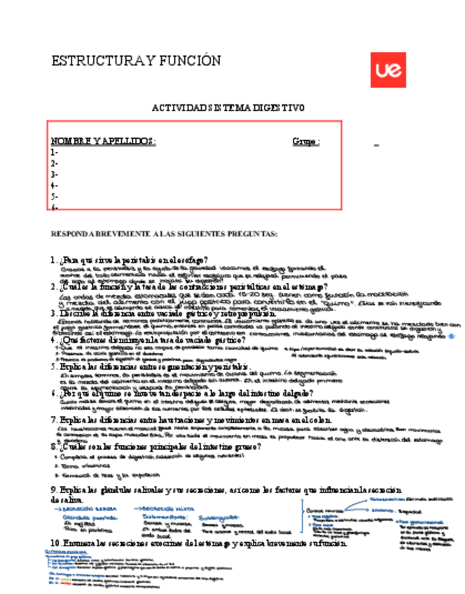 ACTIVIDAD-SISTEMA-DIGESTIVO.pdf