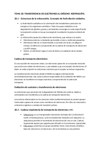 TEMA_20.pdf