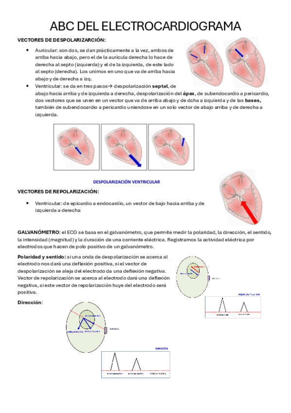 ABC-DEL-ECG.pdf