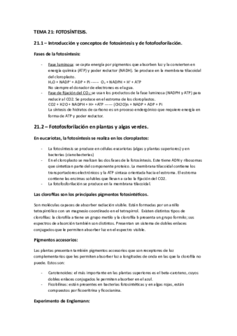 TEMA_21.pdf