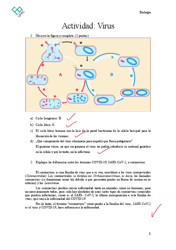 ACTIVIDAD-VIRUS.pdf