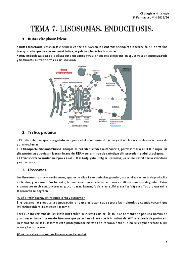 TEMA-7.-LISOSOMAS.-ENDOCITOSIS.pdf