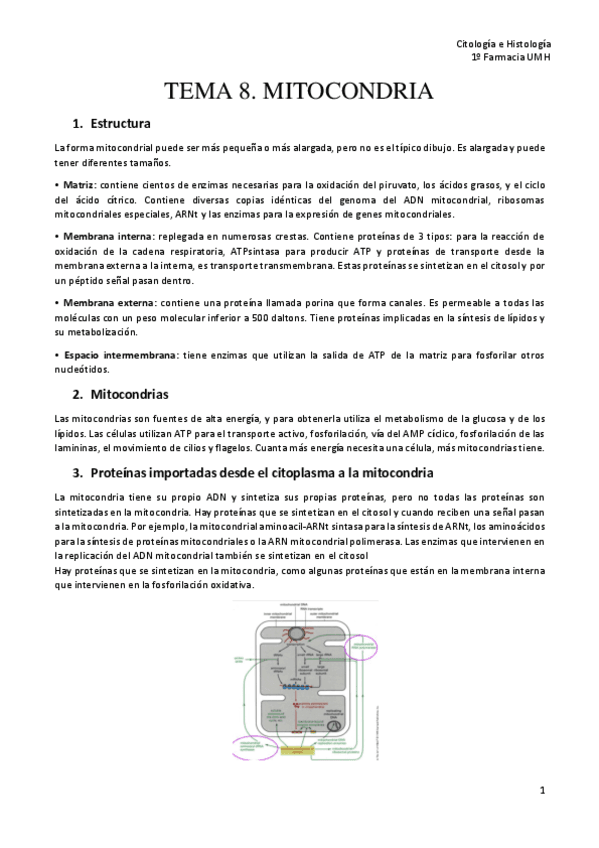 TEMA-8.-MITOCONDRIA-CH.pdf