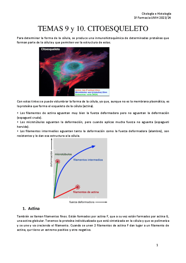 TEMA-9-y-10.-CITOESQUELETO-CH.pdf
