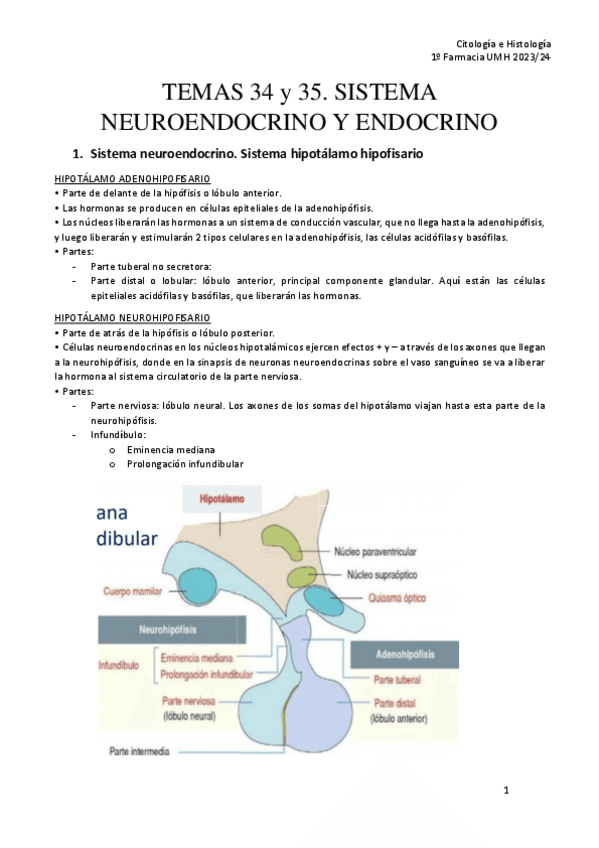 TEMA-34-y-35.-SISTEMA-NEUROENDOCRINO-Y-ENDOCRINO-CH.pdf