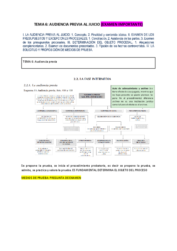 TEMA-6-PROCESAL-CIVIL.pdf
