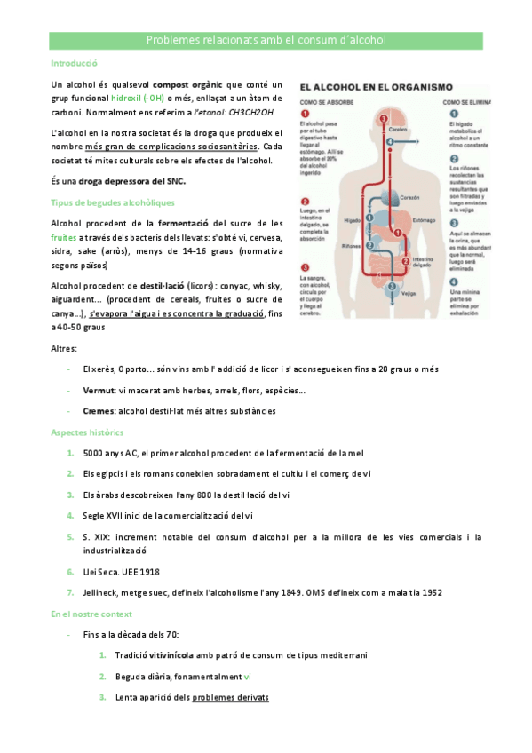 Problemes-relacionats-amb-el-consum-dalcohol.pdf