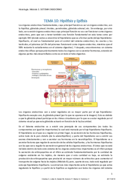 Apuntes módulo 3.pdf