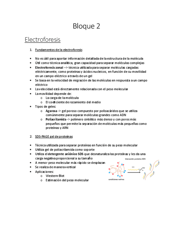 Tecnicas-Bloque-II.pdf