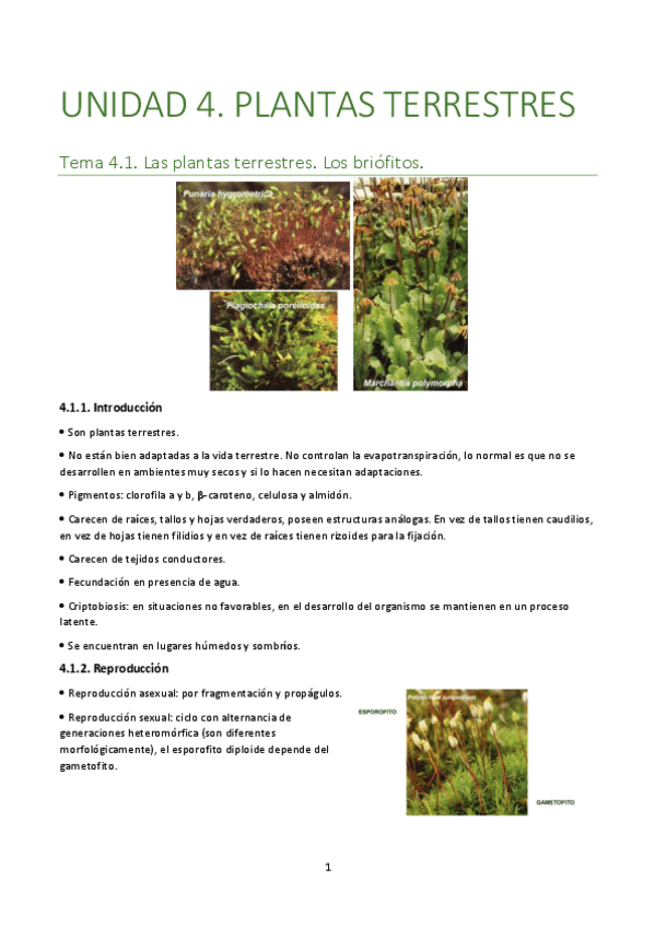 Tema-4.1..pdf