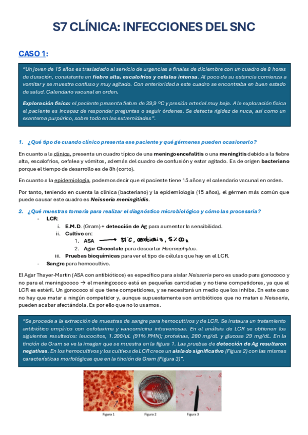 SEMINARIO-7-clinica-infecciones-del-SNC.pdf