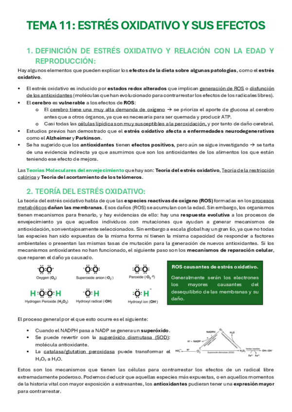 TEMA-11-Estres-oxidativo-y-sus-efectos.pdf