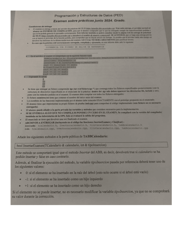 ped-practicas-junio-2024.pdf