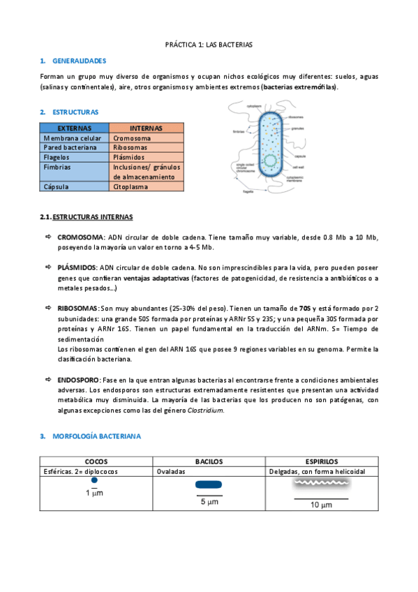 Agentes-biologicos-I-P1-Bacterias.pdf
