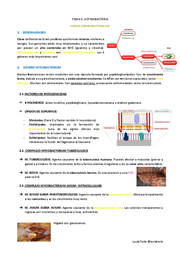 Agentes-biologicos-I-T5-Actinobacteria.pdf