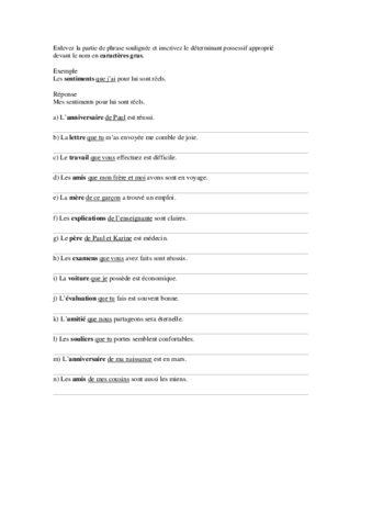 activité possessifs.pdf