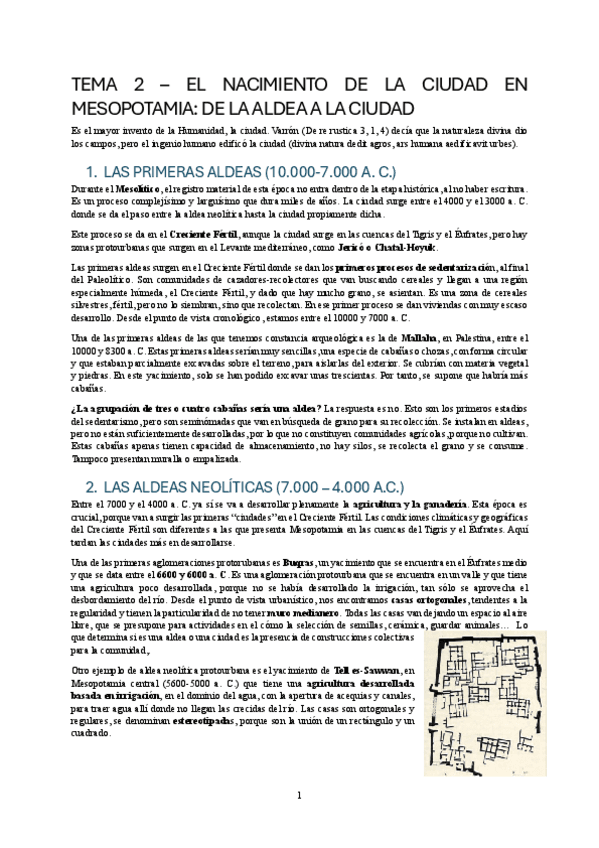 T2El-nacimiento-de-la-ciudad-en-mesopotamia.pdf