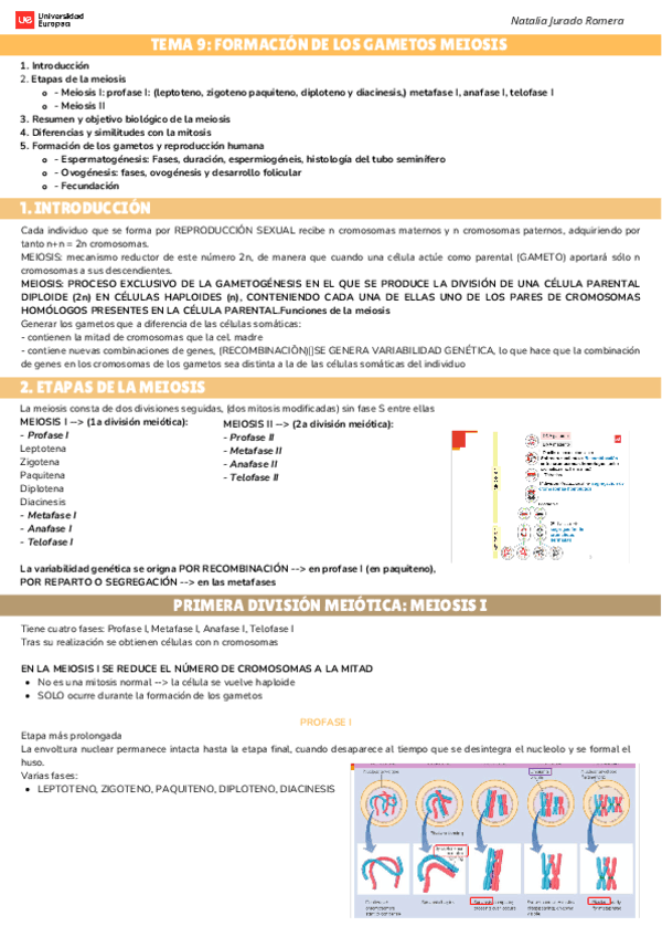 TEMA-9-FORMACION-DE-LOS-GAMETOS-MEIOSIS.pdf