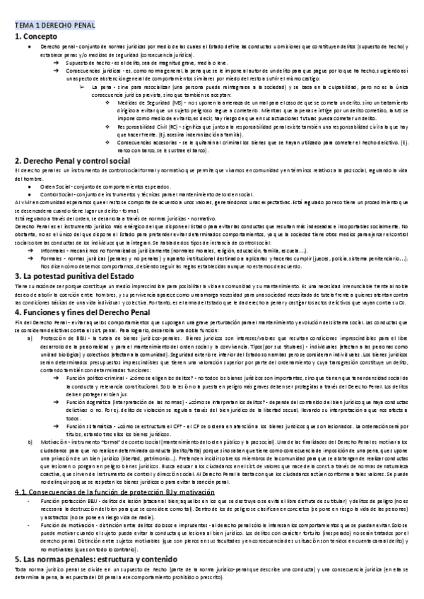 Derecho-penal.pdf