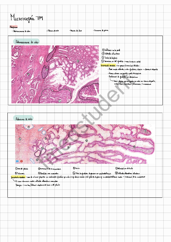 Micro-TP4.pdf