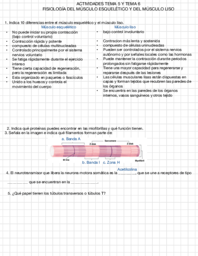 Tema-5-Y-6-preguntas.pdf