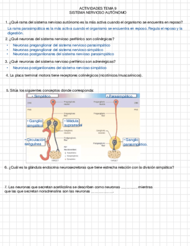 Tema-9-preguntas.pdf