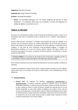 Tema 6 (El Proceso) - Derecho Procesal I.pdf