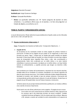 Tema 8 (Planta y Organización Judicial) - Derecho Procesal I.pdf