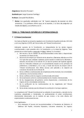 Tema 11 (Tribunales Españoles e Internacionales) - Derecho Procesal I.pdf