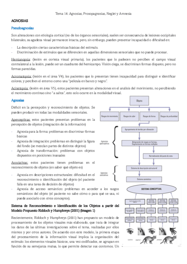 Tema-14-Neuro-Cognitiva.pdf