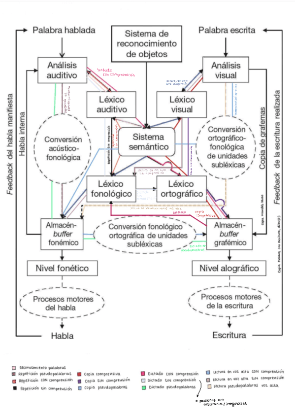 Esquema-neuro-cognitiva.pdf