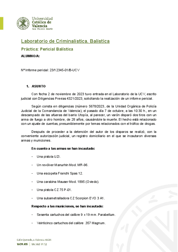 INFORME-PERICIAL.pdf