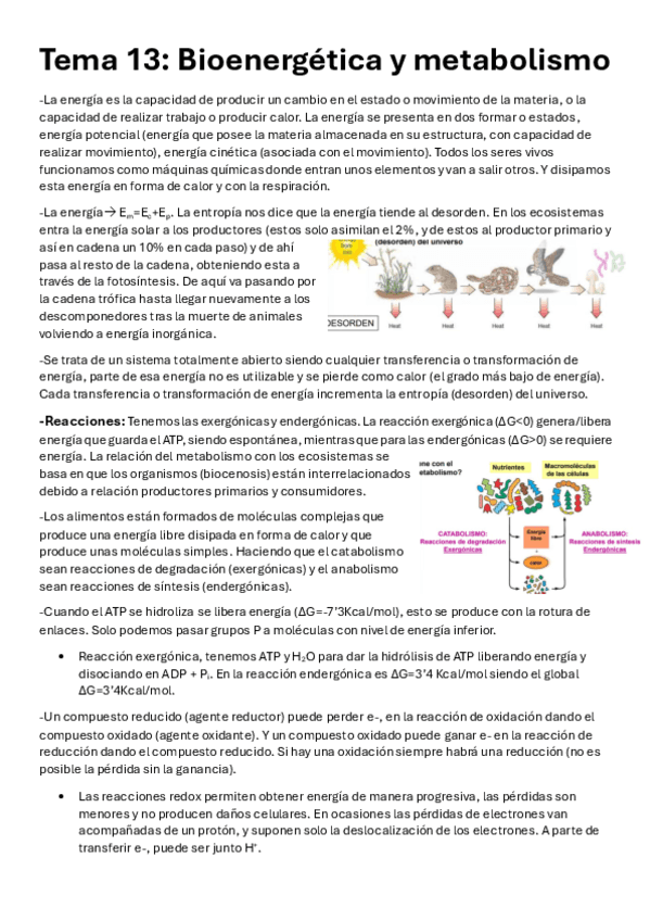 Tema-13-18-Biologia.pdf
