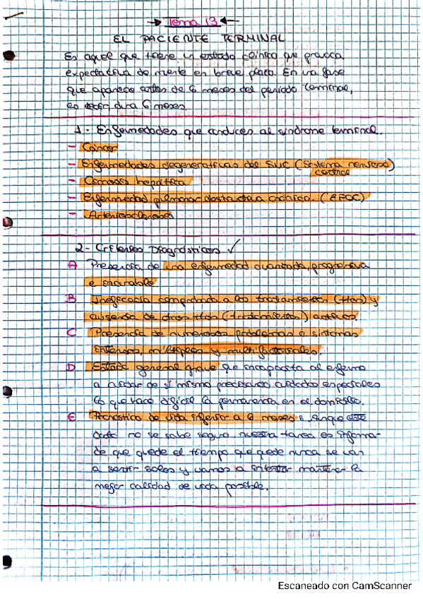 Tema-13.pdf