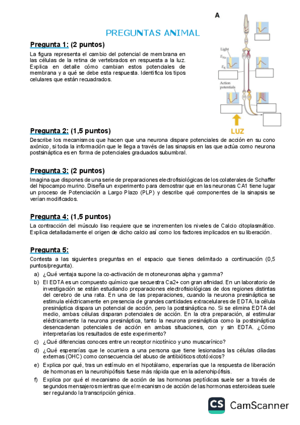 Preguntas-examenes-FA.pdf