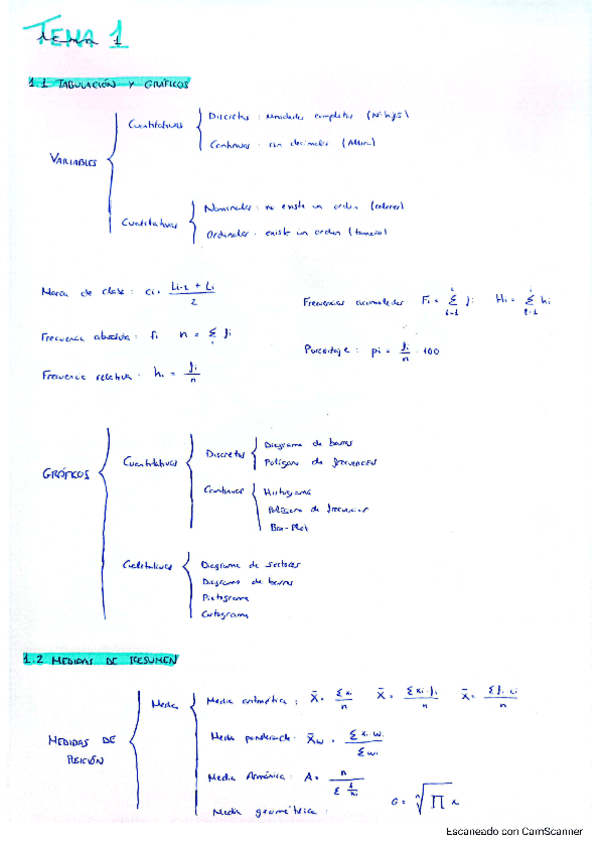 Resumen-teoria-por-temas.pdf