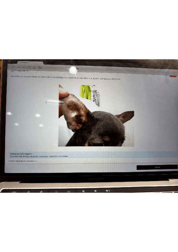 examen-respondus-modulo-1-junio-2024.pdf