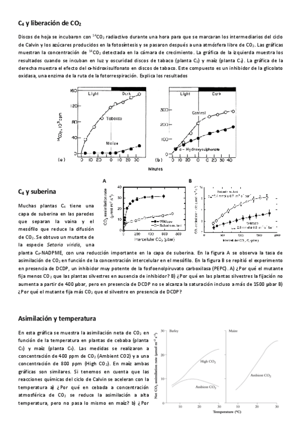 Fisio-Vex-Seminario-5-Fotorrespiracion.pdf