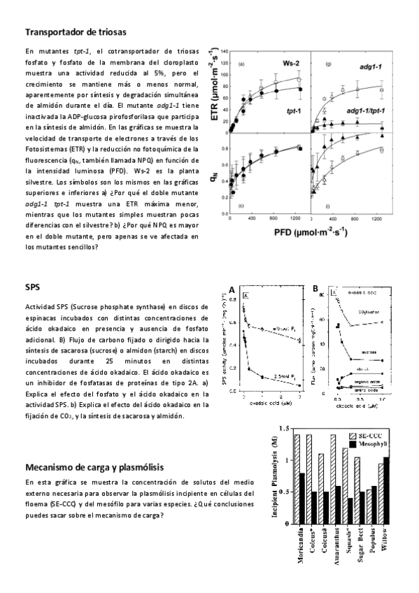 Fisio-Vex-Seminario-6-Azucres.pdf