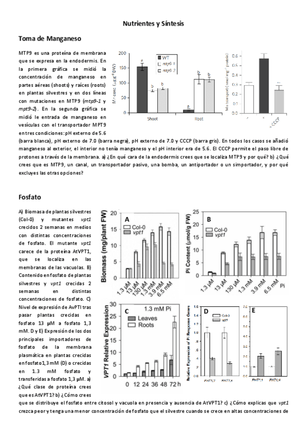 Fisio-Vex-Seminario-7-Nutrintes-e-sintese.pdf