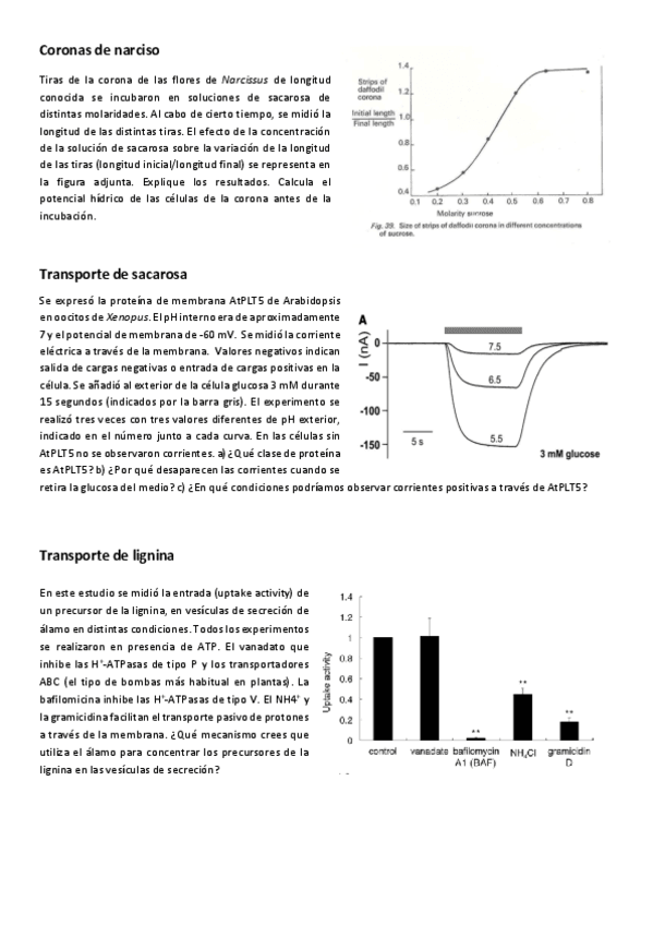 Fisio-Vex-Seminario-1-Transporte.pdf