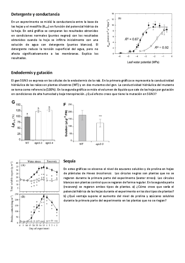 Fisio-Vex-Seminario-2-Auga.pdf