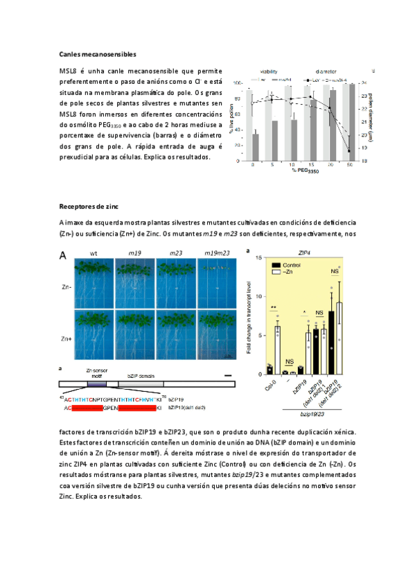 Fisio-Vex-Seminario-11-Receptores-II.pdf