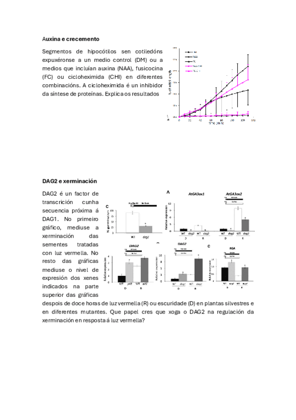 Fisio-Vex-Seminario-12-Desenvolvemento.pdf