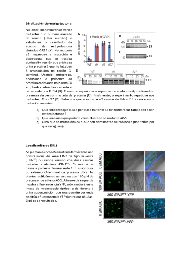 Fisio-Vex-Seminario-9-Mensaxeiros-II.pdf