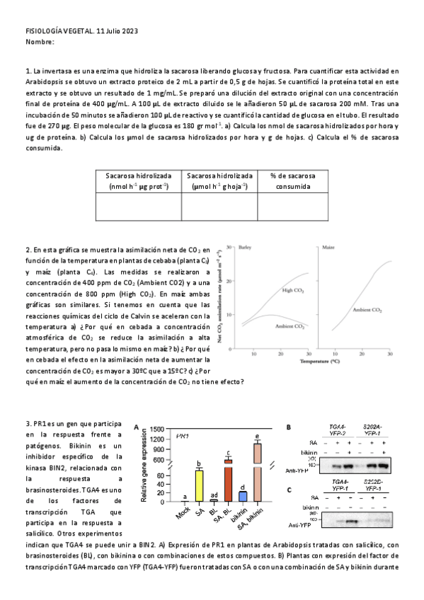 Fisio-Vex-Exame-Xullo-2023.pdf